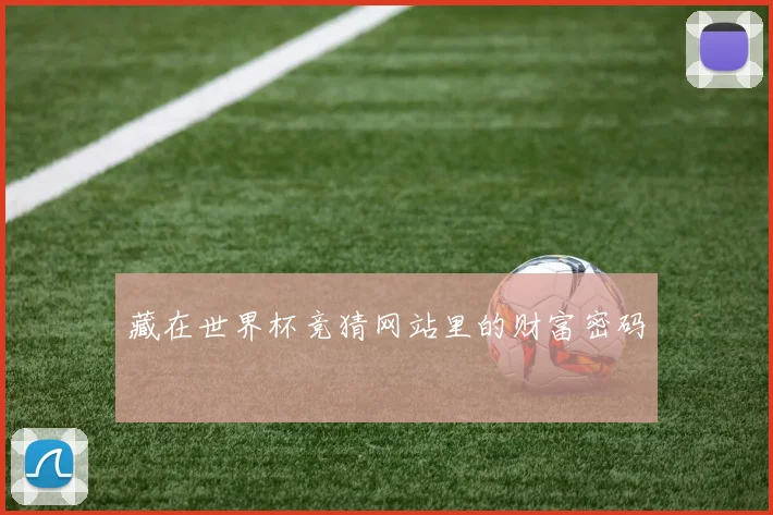 藏在世界杯竞猜网站里的财富密码