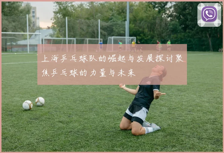 上海乒乓球队的崛起与发展探讨聚焦乒乓球的力量与未来